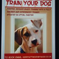 train your dog image